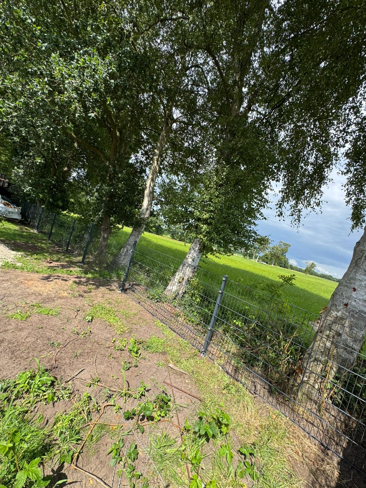 Zaun in Rhauderfehn &ndash; Zaunonkel GmbH